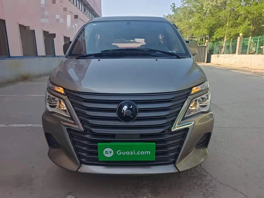 Dongfeng Lingzhi