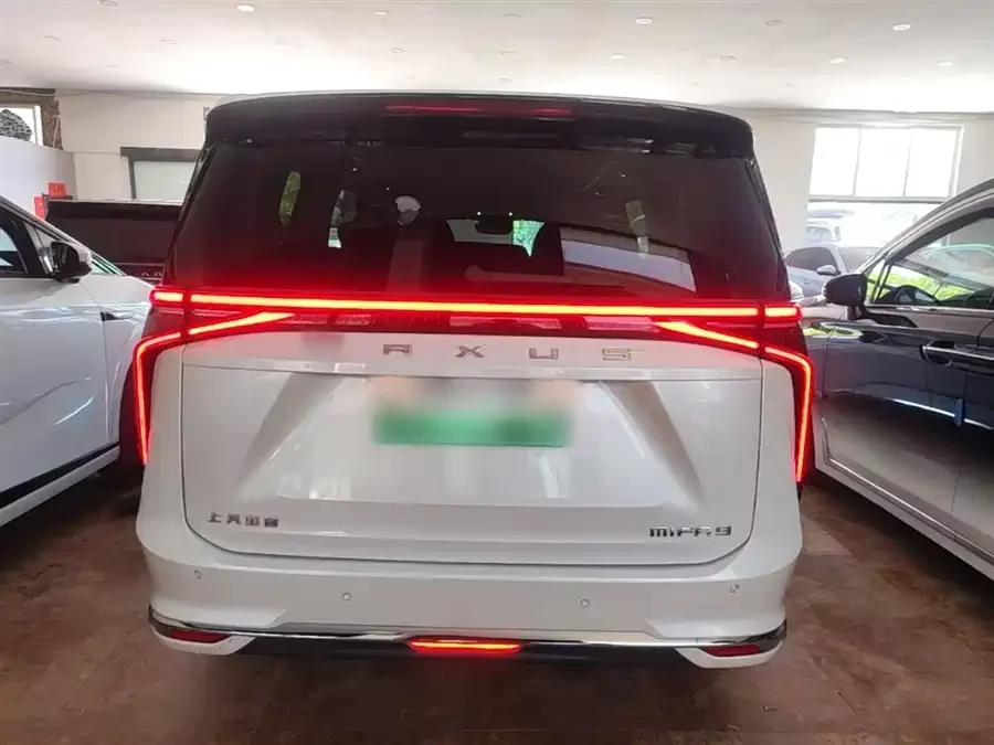 Maxus 9