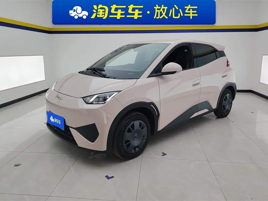 BYD Seagull