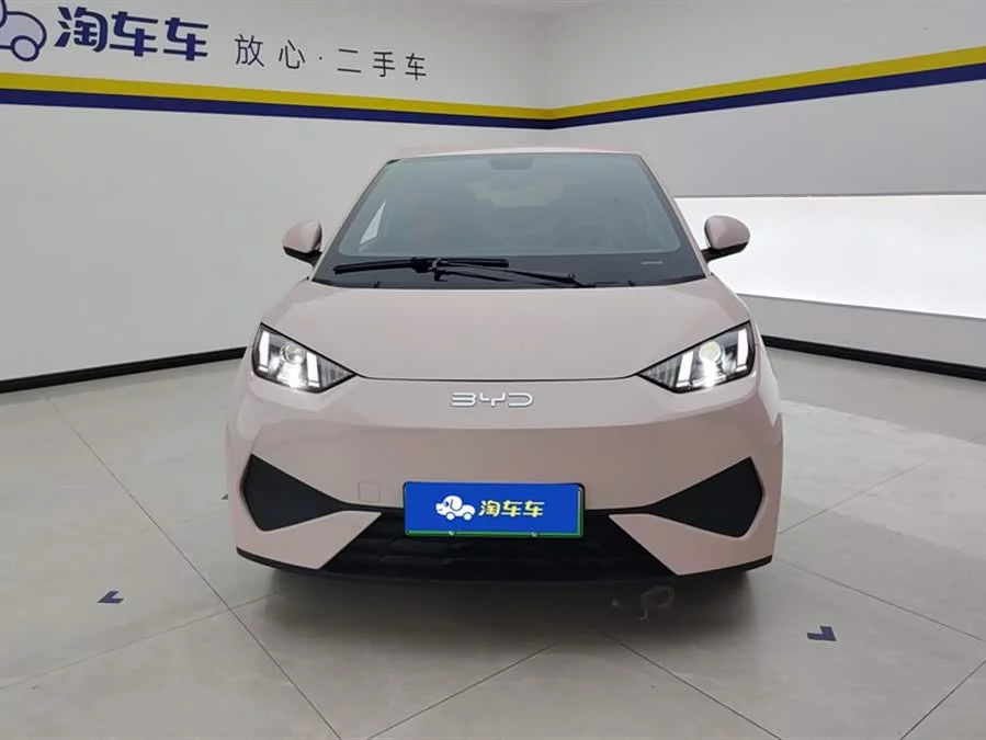 BYD Seagull