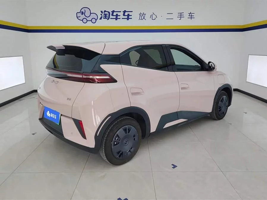 BYD Seagull