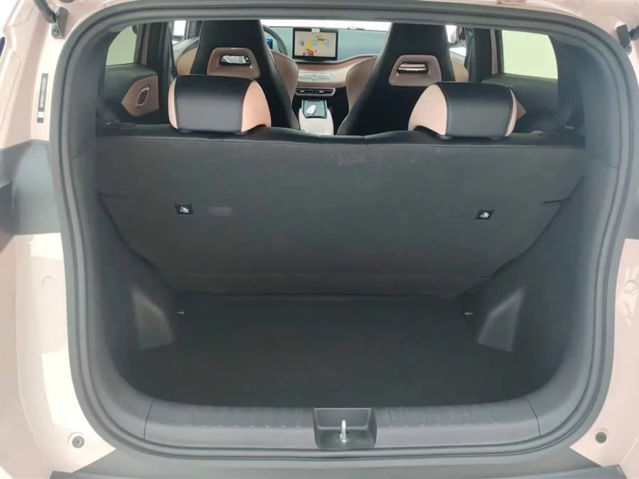 BYD Seagull