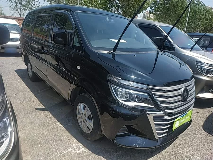 Dongfeng Lingzhi