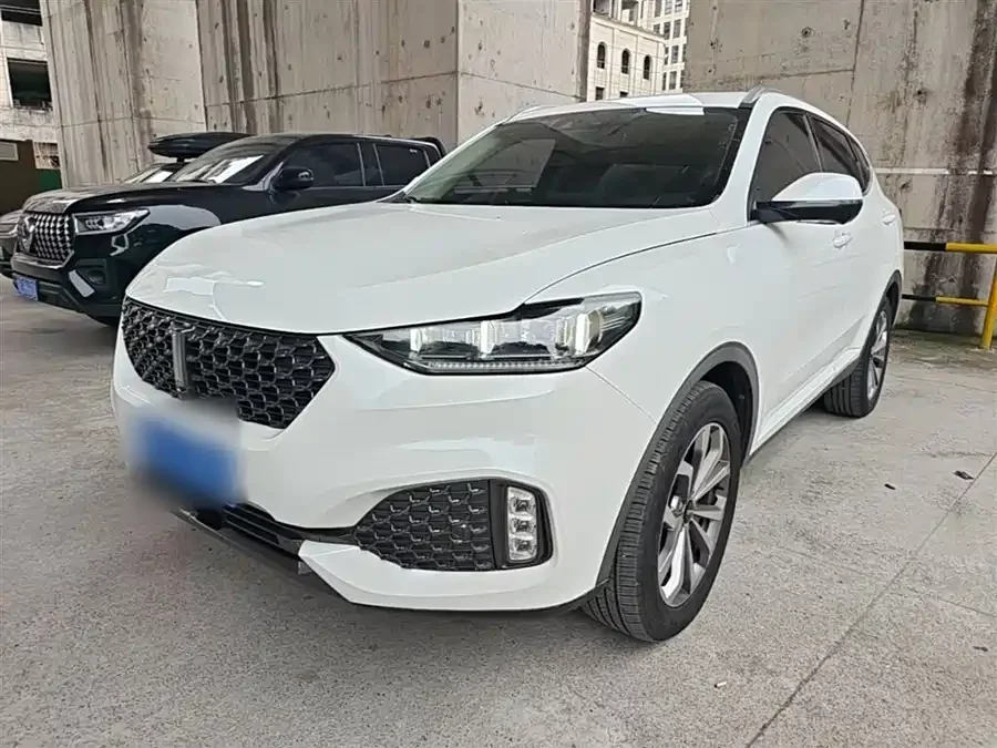Wey VV6