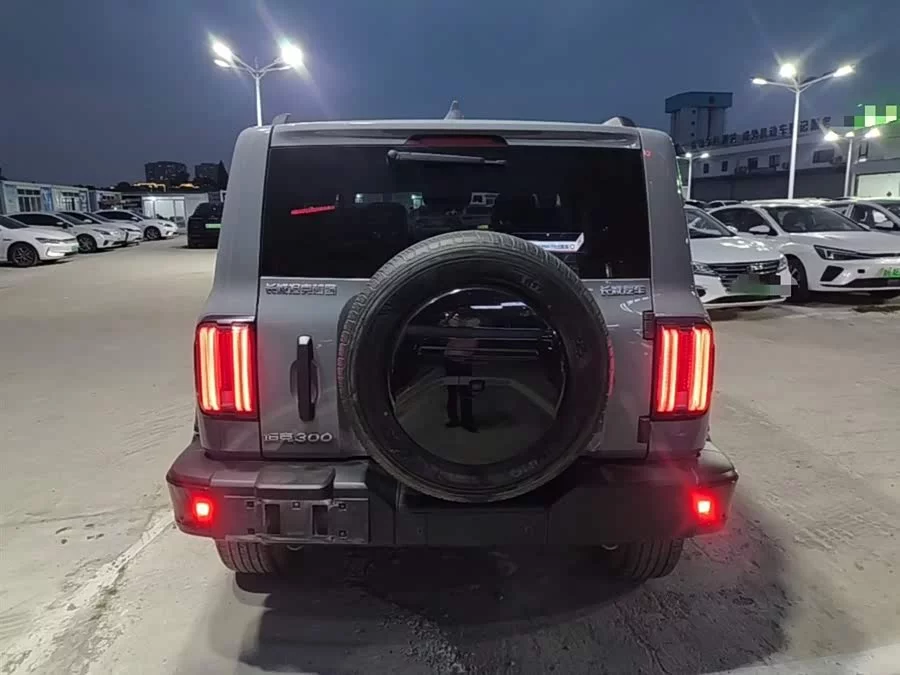TANK 300