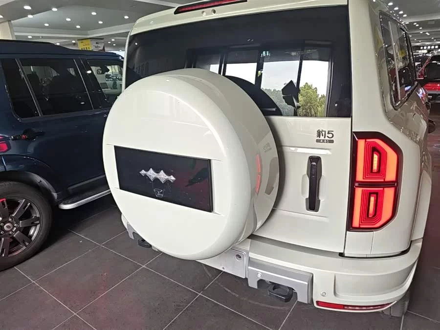 BYD Leopard Leopard 5