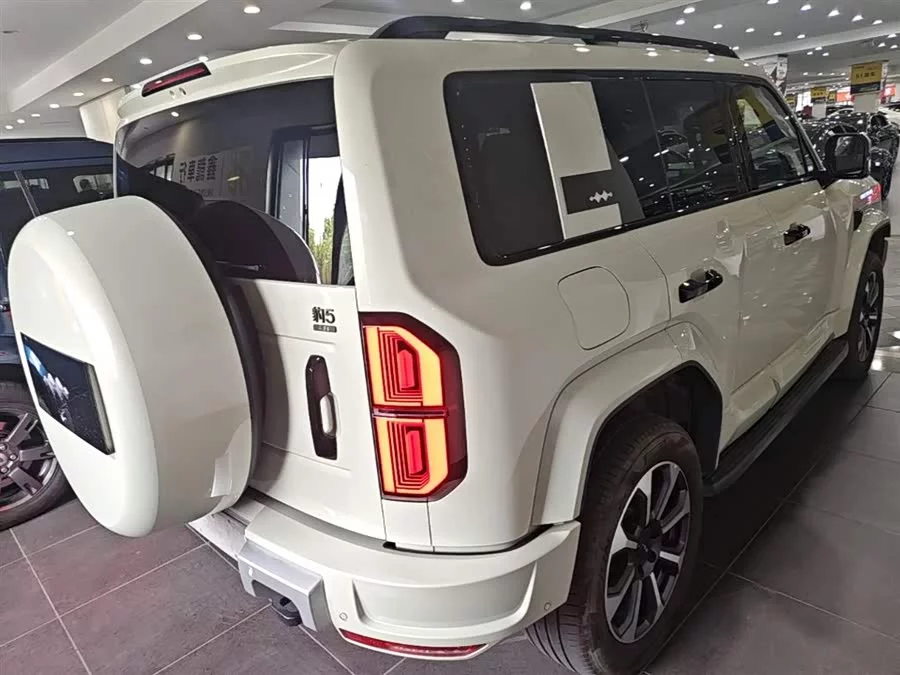 BYD Leopard Leopard 5