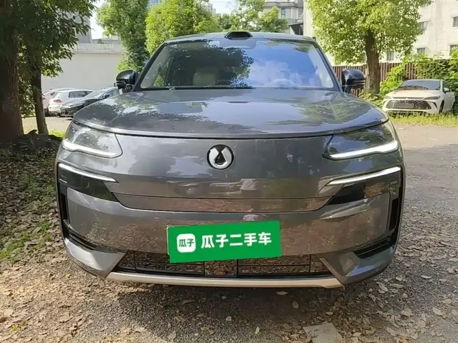 BYD N9