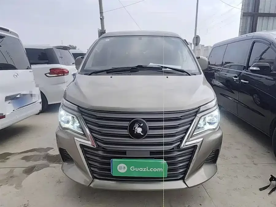 Dongfeng Lingzhi