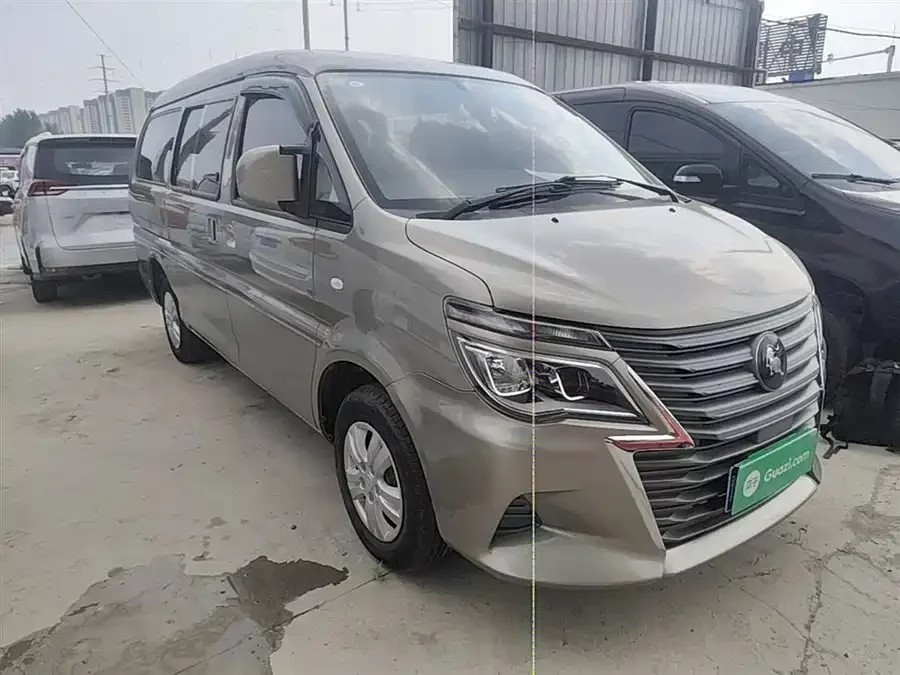 Dongfeng Lingzhi