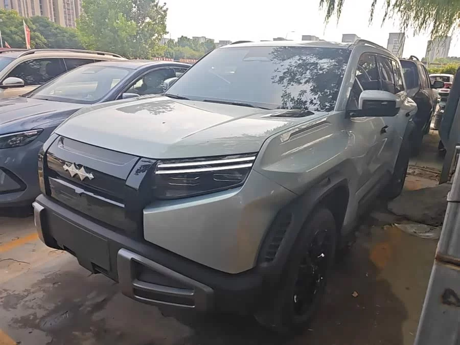 BYD Leopard Titanium 3