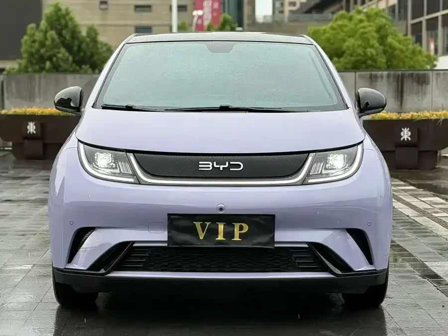 BYD Dolphin