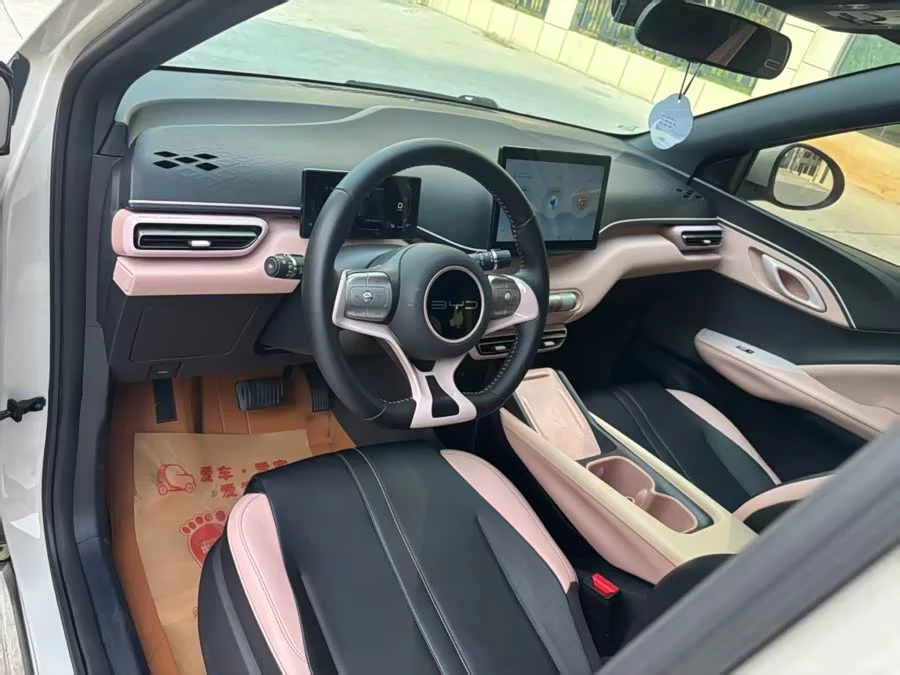 BYD Seagull