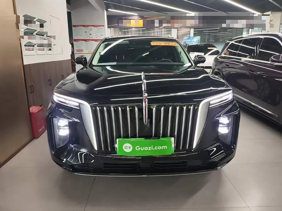 Hongqi E-HS9