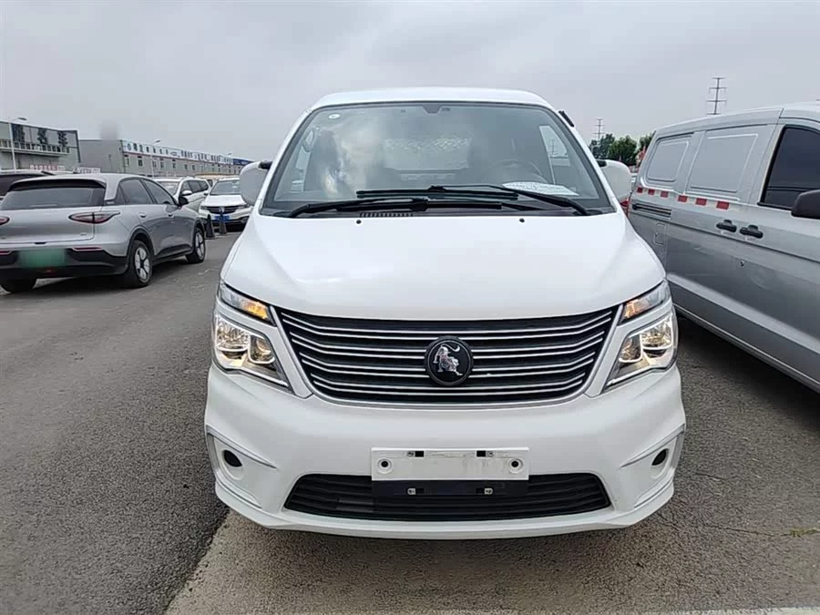 Dongfeng Lingzhi