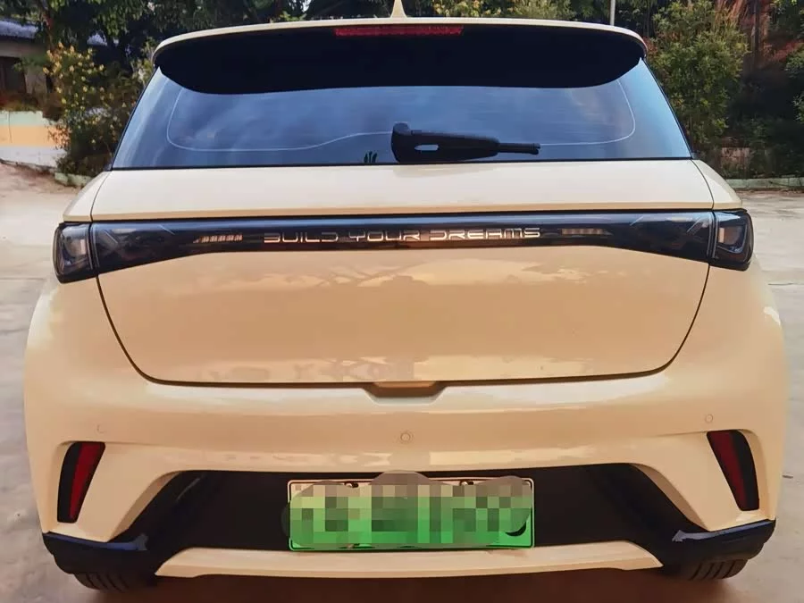 BYD Dolphin
