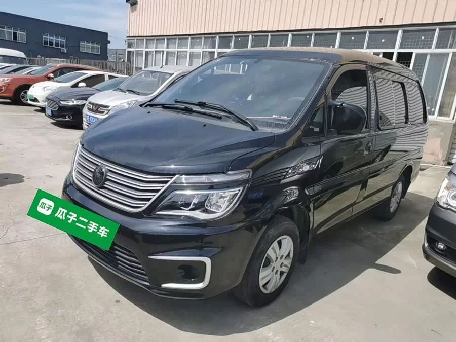 Dongfeng Lingzhi