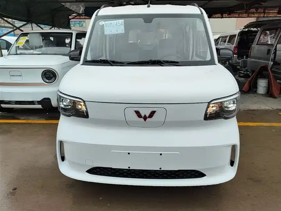 Wuling Zhiguang New Energy