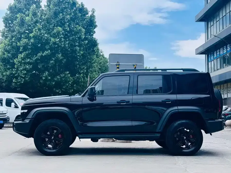 TANK 300