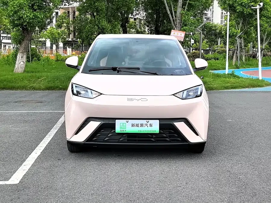 BYD Seagull