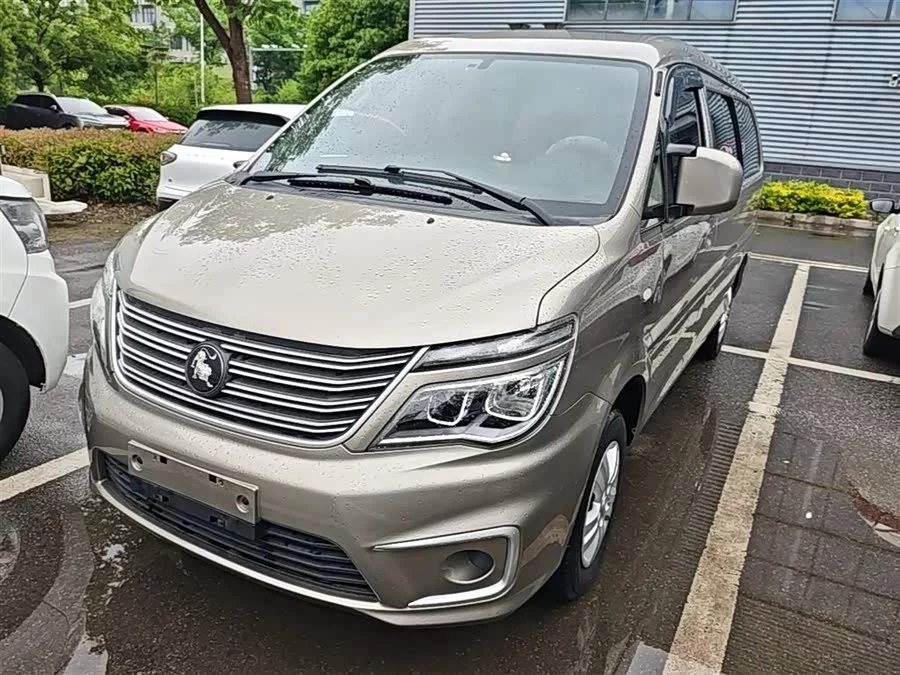 Dongfeng Lingzhi