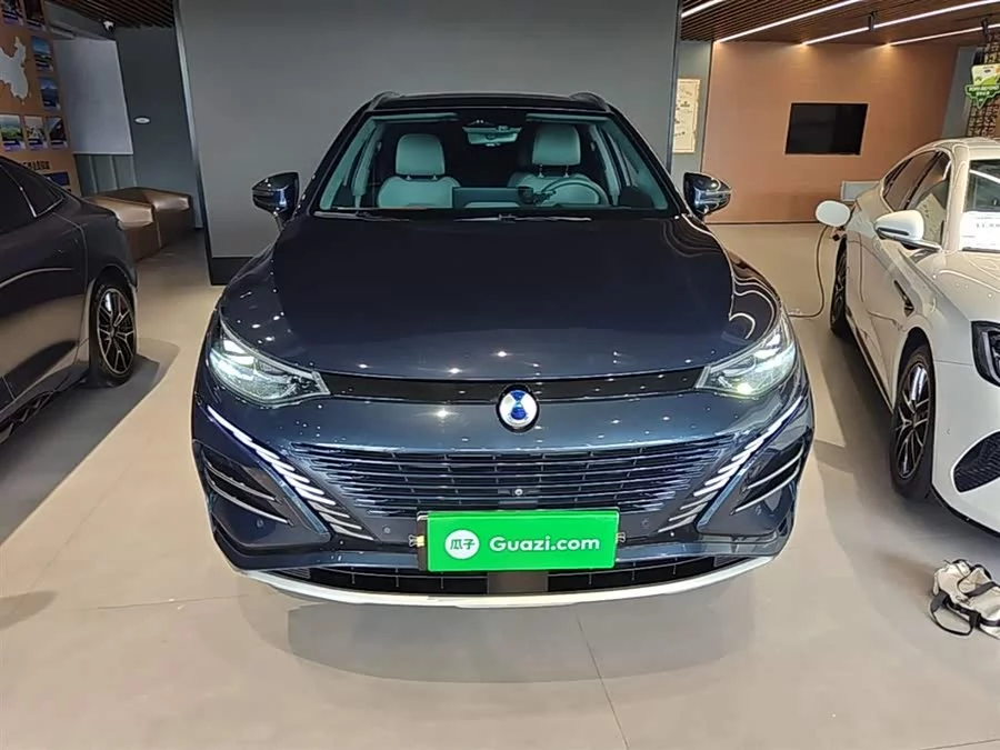 BYD N8