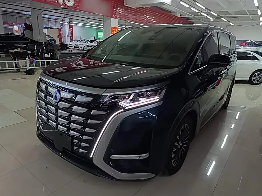 BYD D9