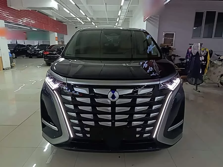 BYD D9
