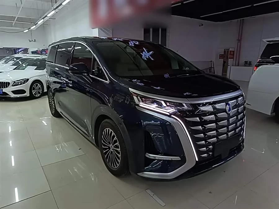 BYD D9