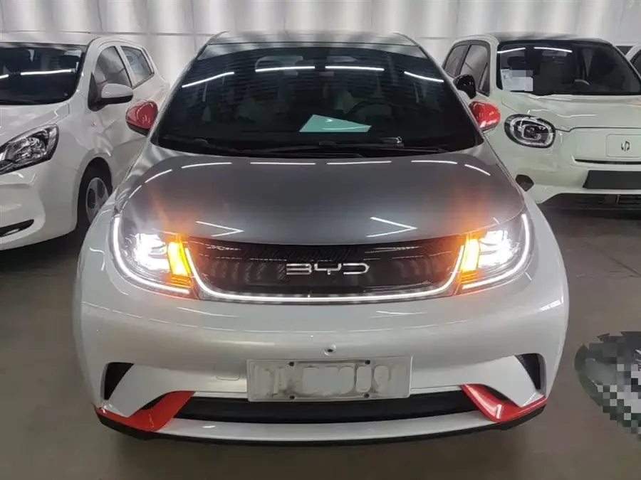 BYD Dolphin