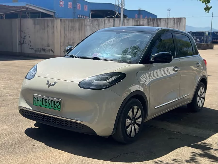 Wuling Bingo