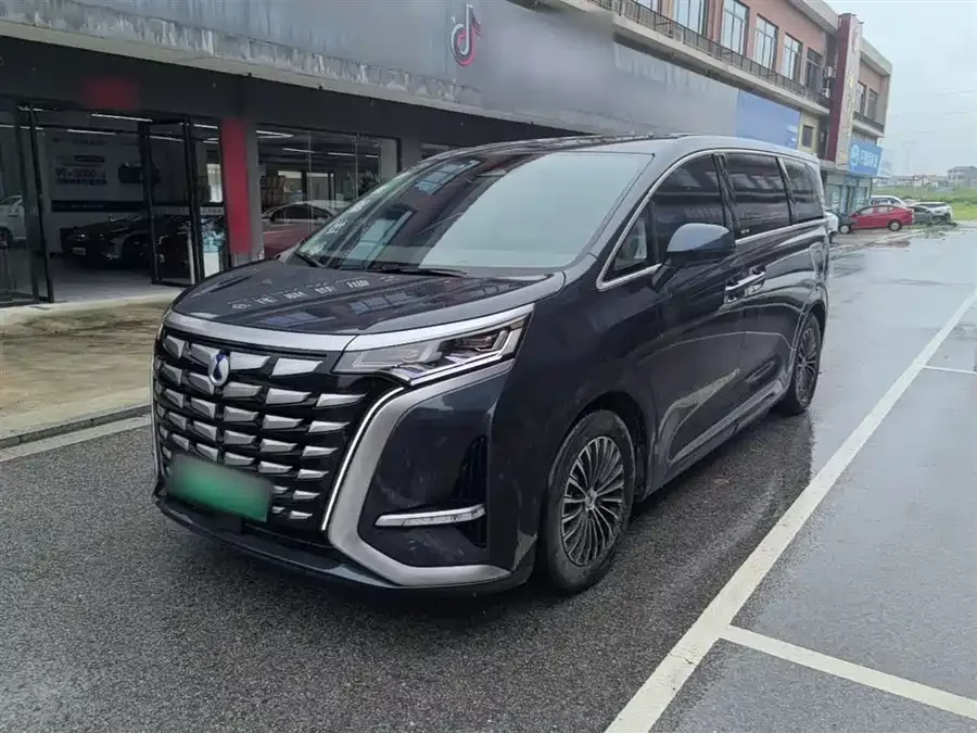 BYD D9
