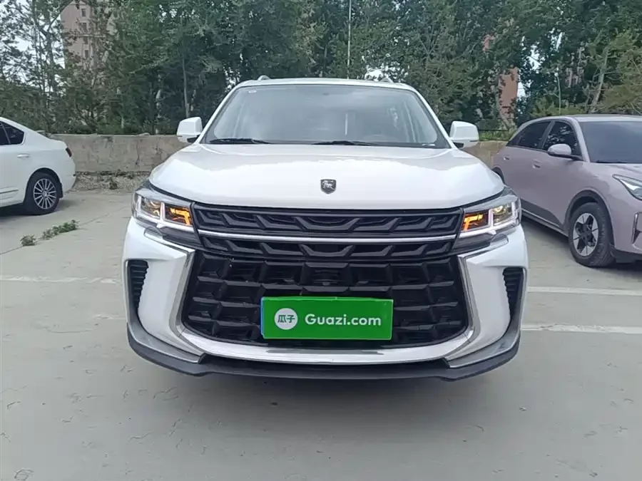 Dongfeng Fengxing T5