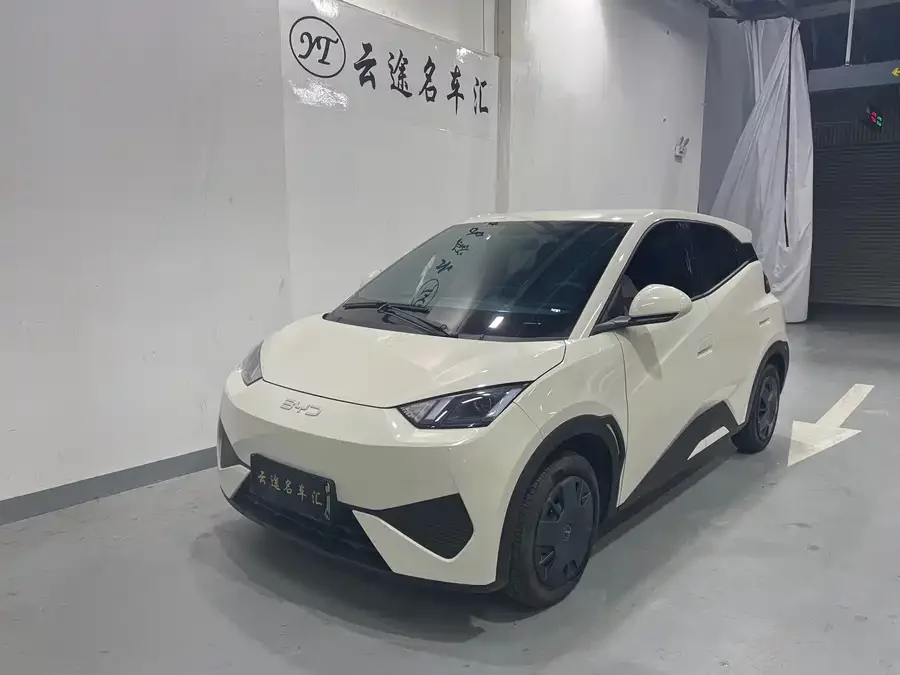 BYD Seagull