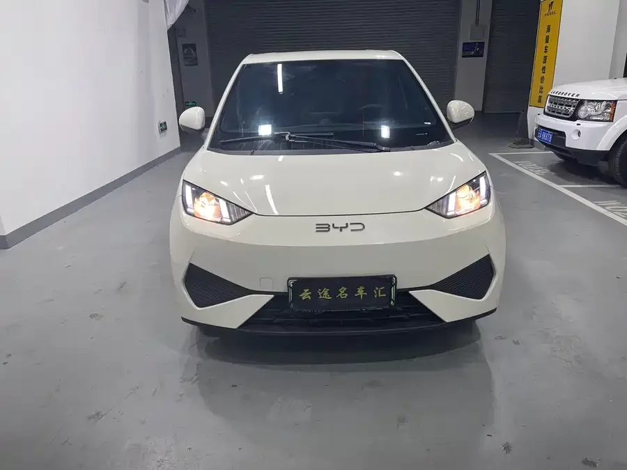 BYD Seagull