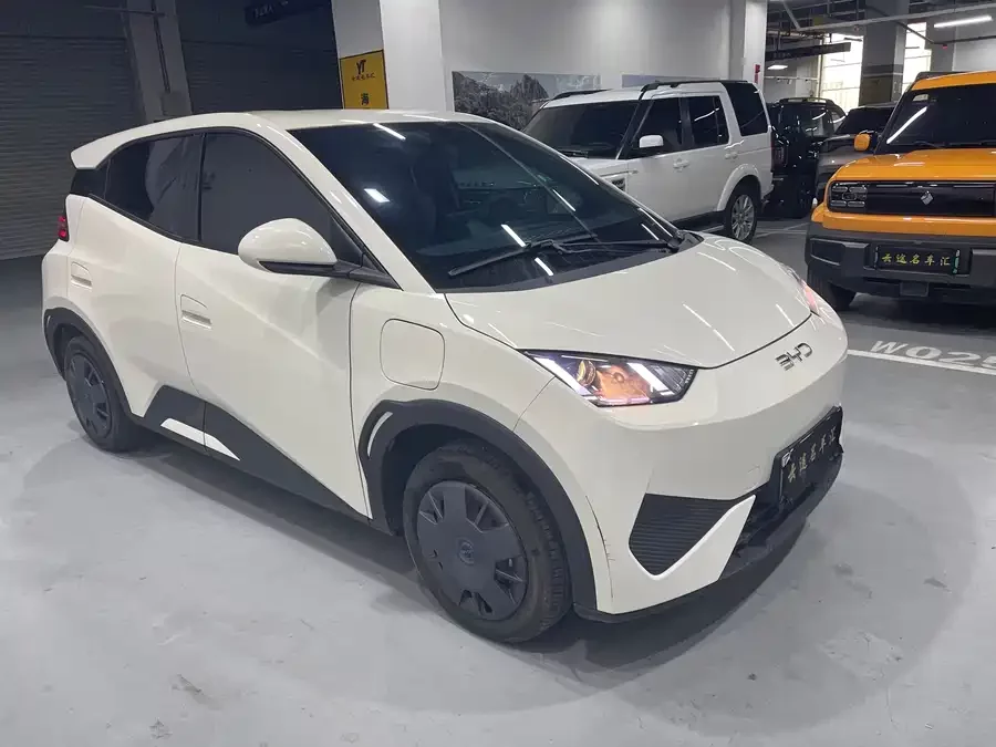 BYD Seagull