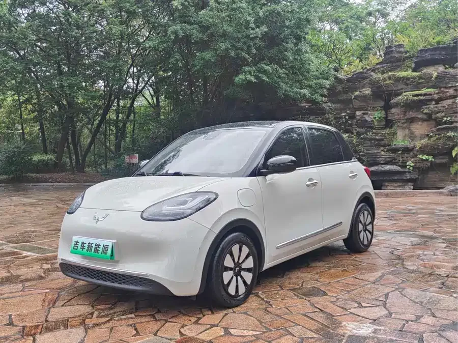 Wuling Bingo