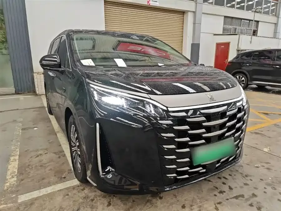 BYD summer