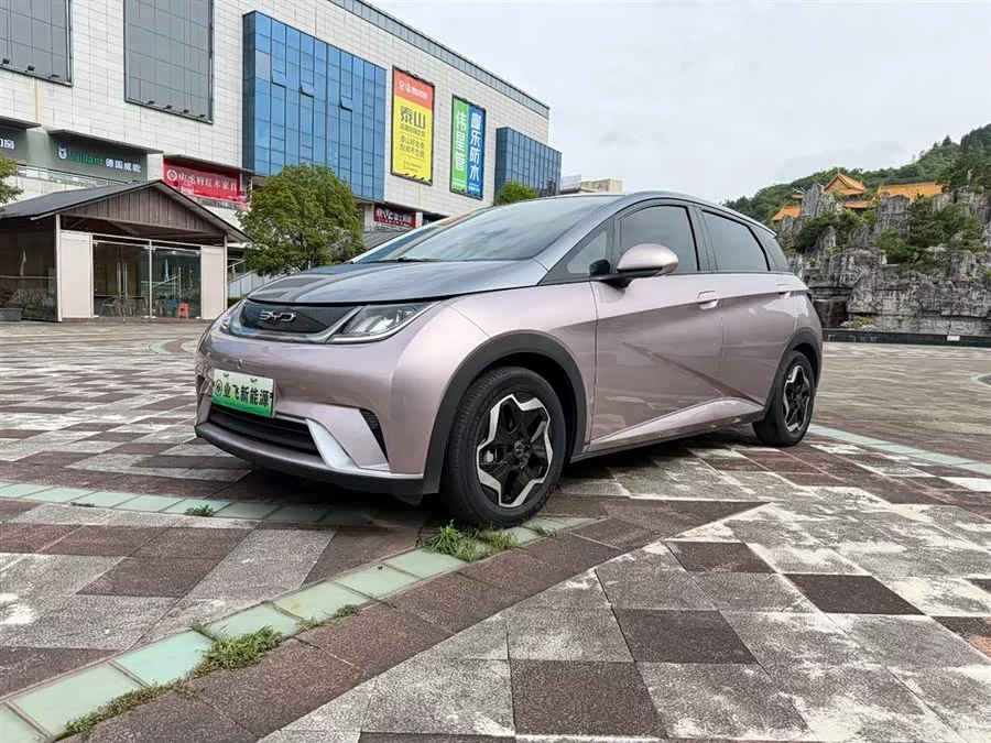 BYD Dolphin
