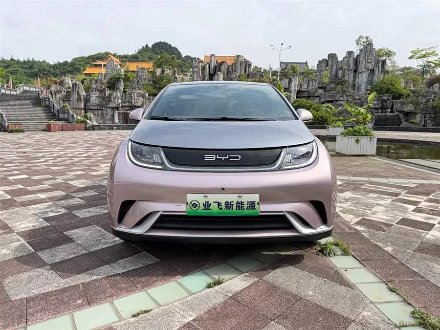 BYD Dolphin