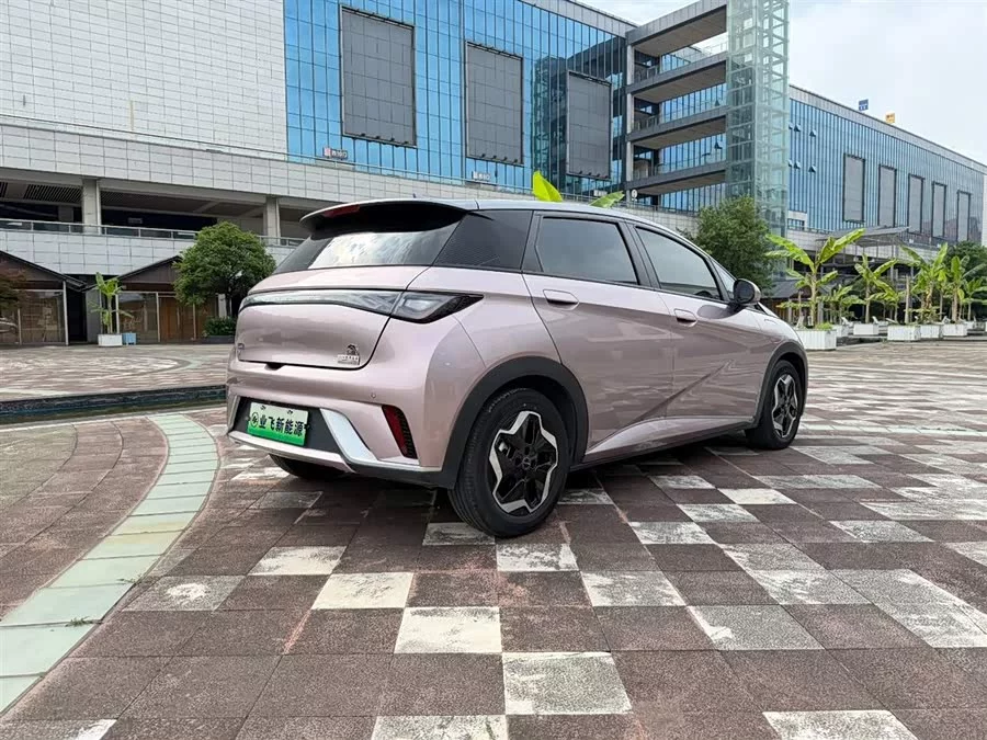 BYD Dolphin
