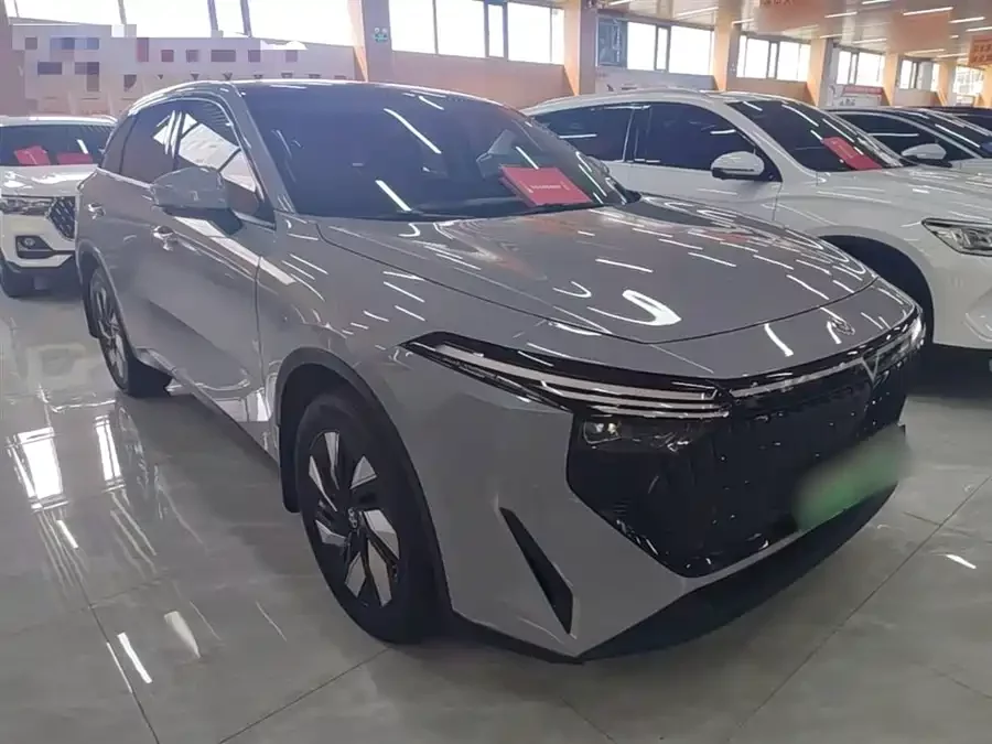 Venucia Big V DD-i