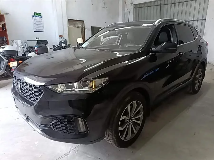 Wey VV6