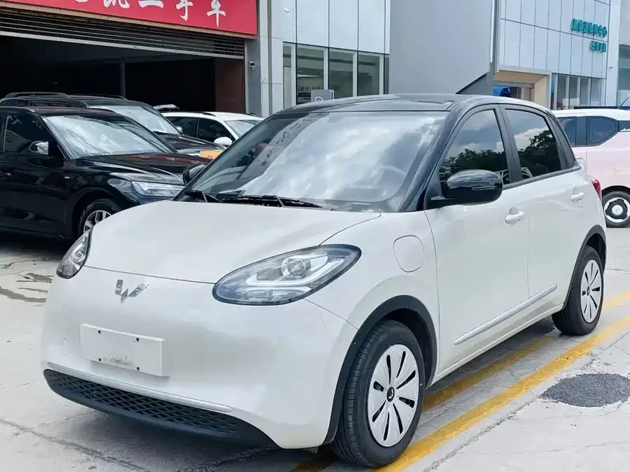 Wuling Bingo