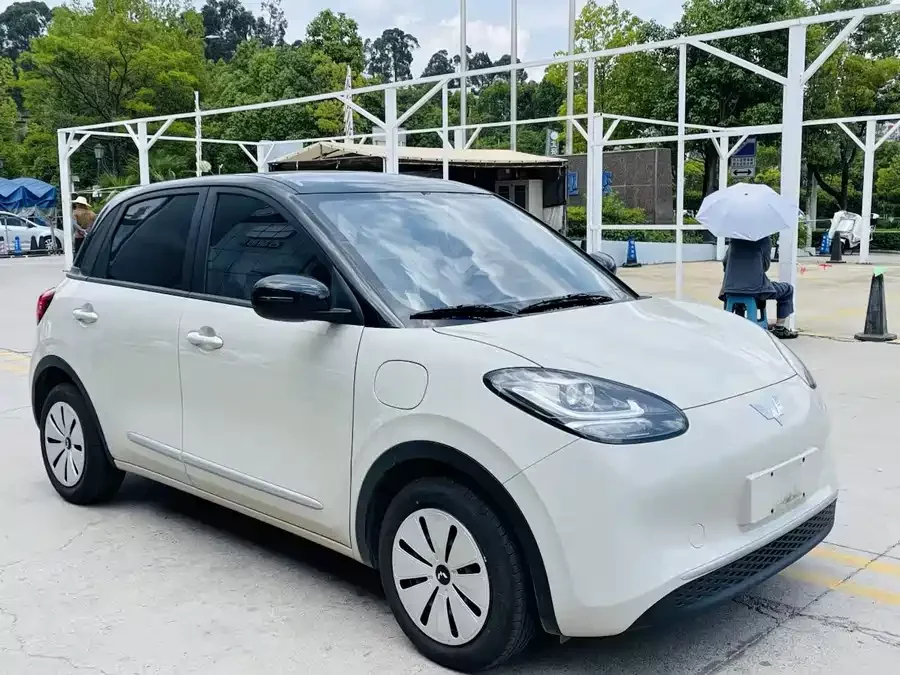 Wuling Bingo
