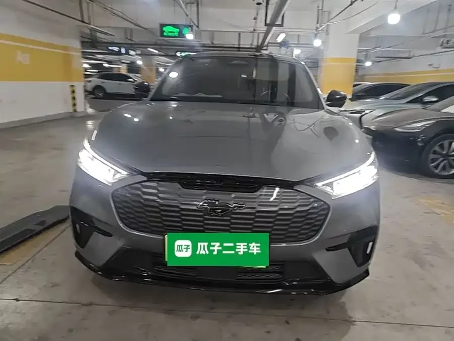 Ford electric horse