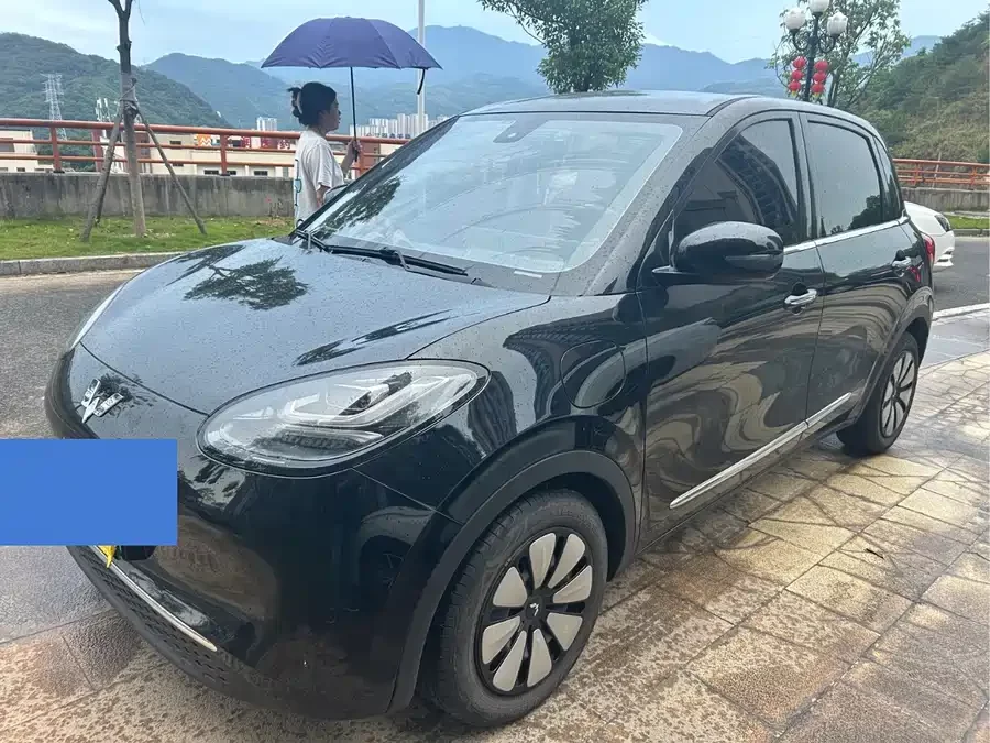 Wuling Bingo