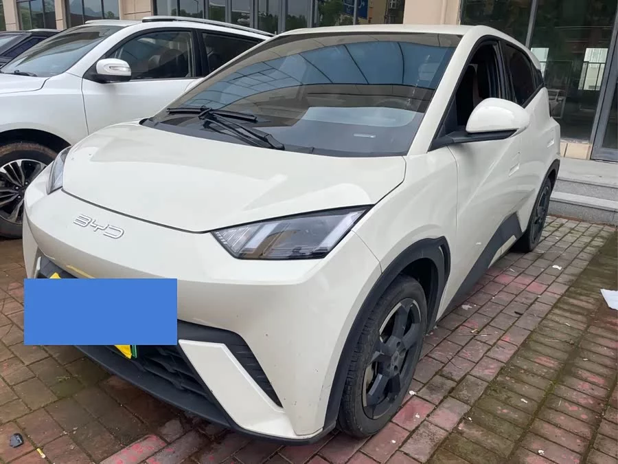 BYD Seagull
