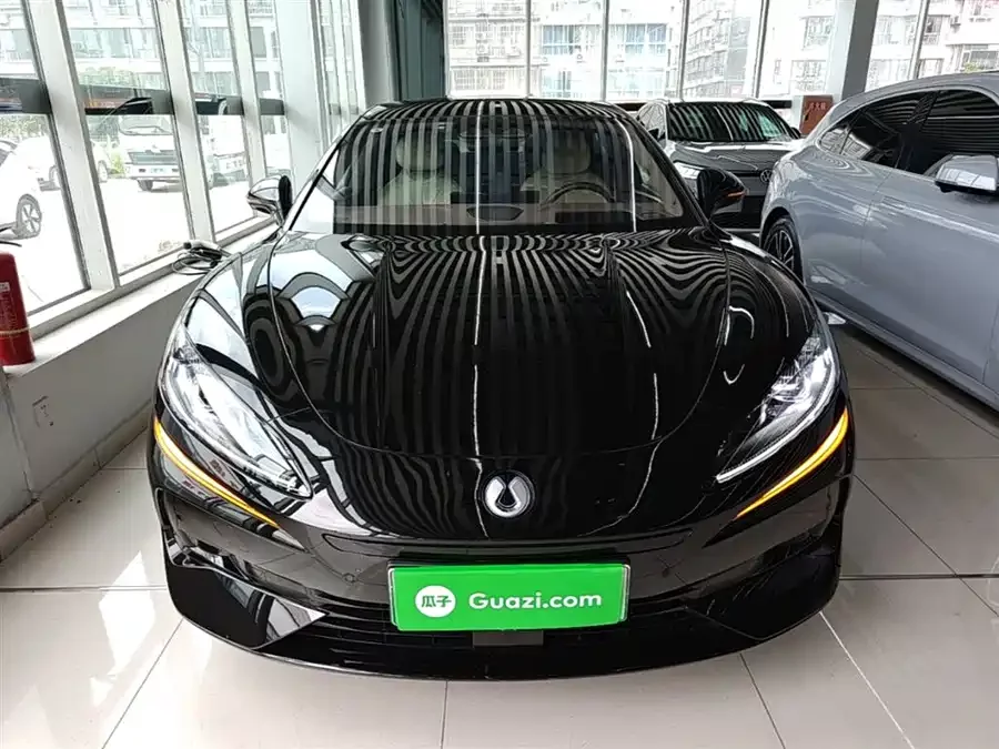 BYD Z9GT