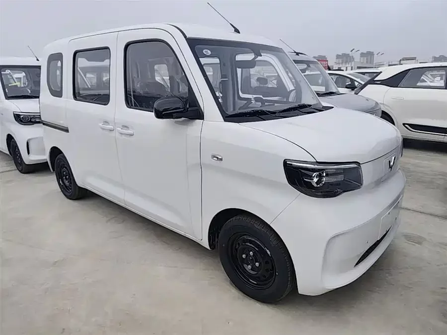 Wuling Zhiguang New Energy
